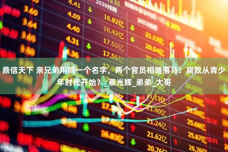 鼎信天下 亲兄弟用同一个名字，两个官员相继落马！腐败从青少年时代开始？_蔡光辉_弟弟_大哥