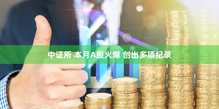 中证所 本月A股火爆 创出多项纪录