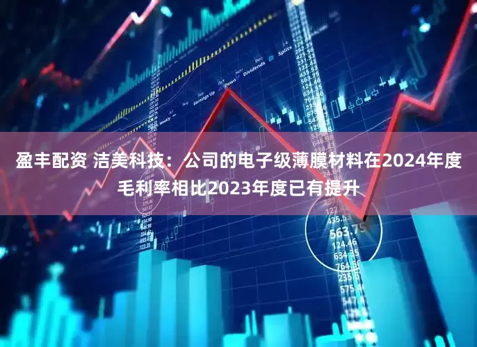 盈丰配资 洁美科技：公司的电子级薄膜材料在2024年度毛利率相比2023年度已有提升