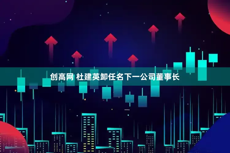 创高网 杜建英卸任名下一公司董事长