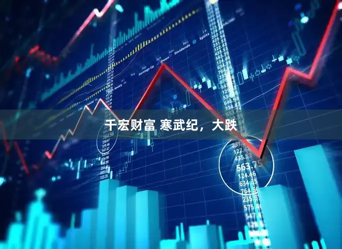 千宏财富 寒武纪，大跌