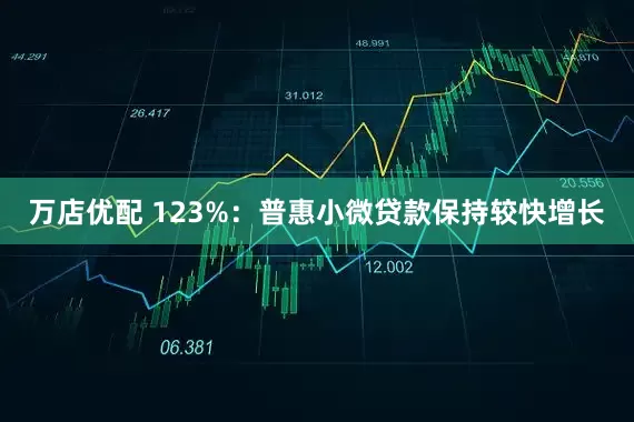 万店优配 123%：普惠小微贷款保持较快增长